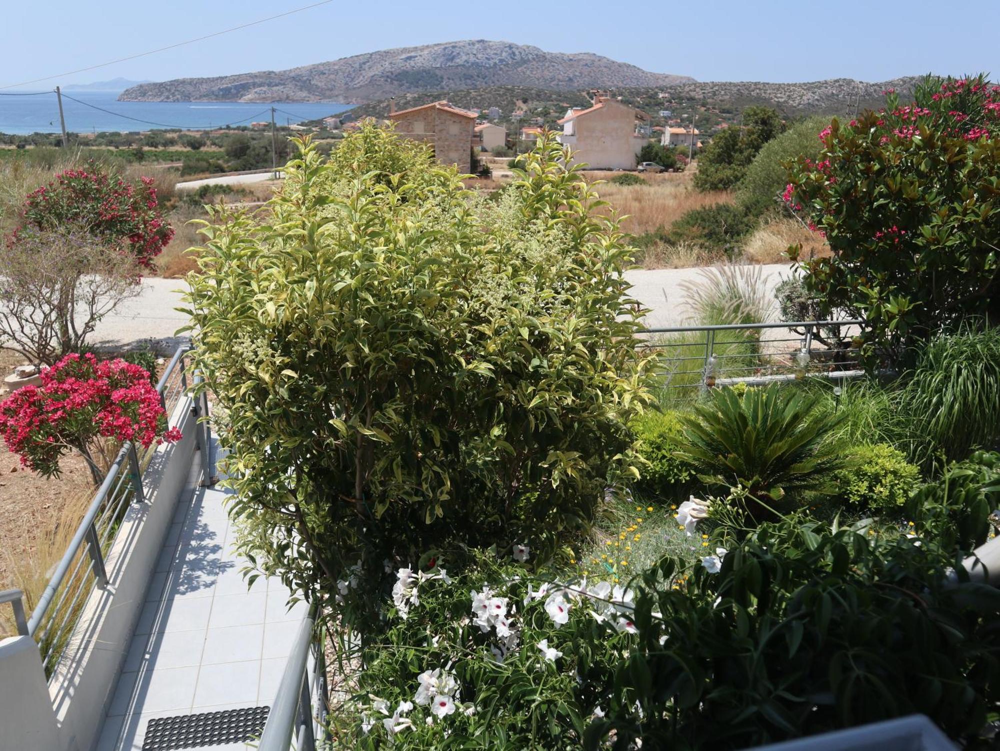 Patroclos SeaView Sounion Exterior foto
